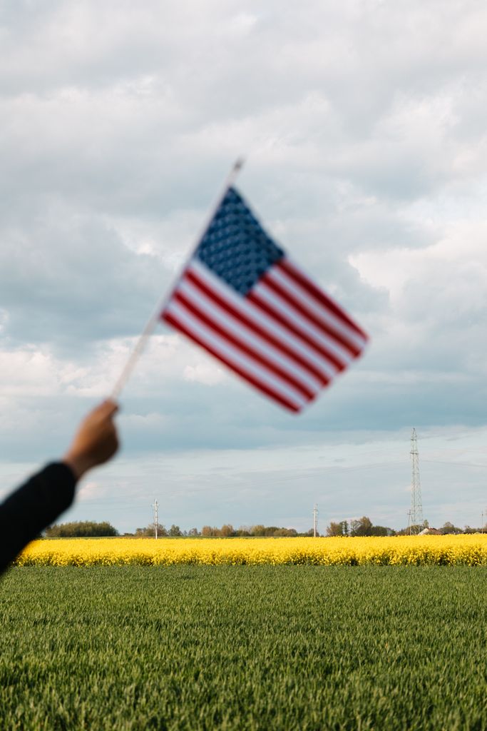 Back view of crop faceless person raising colorful American flag as symbol of liberty and equity under cloudy sky on lawn with yellow flowers